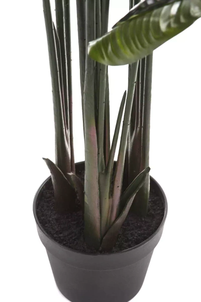 Sztuczna wysoka Strelitzia 200 cm 18 liści