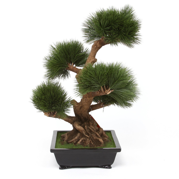 Sztuczne drzewko Bonsai Sosna Pinia 70 cm