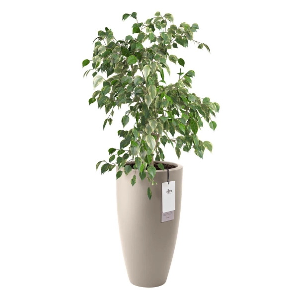 June Round High 30/53 beżowa wysoka donica do salony balanced beige