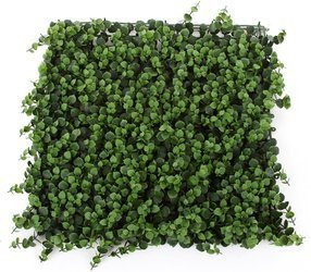 Sztuczny ogród wertykalny Eukaliptus 50x50 UV wodoodporny