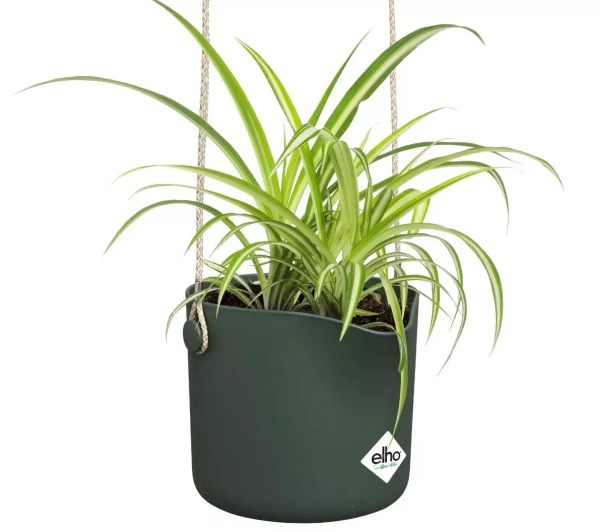 B. For Swing 18/16 osłonka wisząca zielony liść