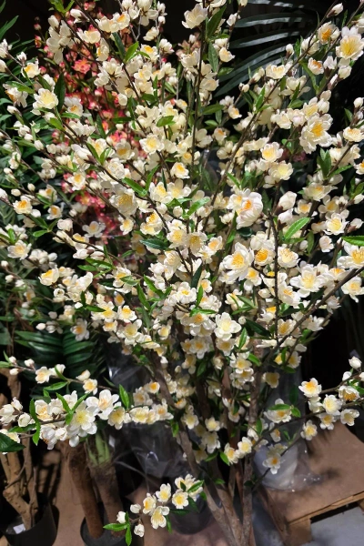 Sztuczna Wiśnia 170 cm kremowa