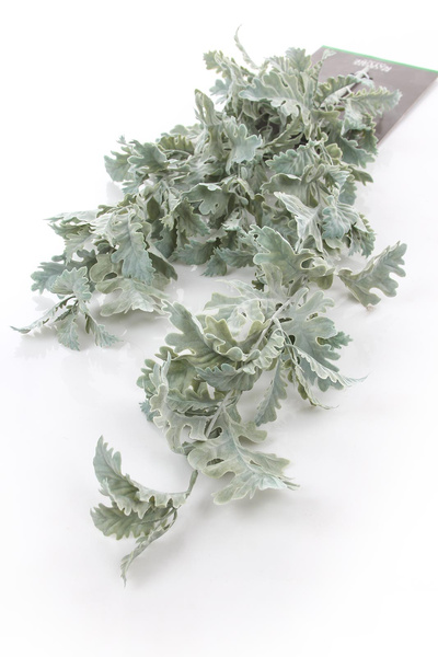 Sztuczny Starzec Cineraria pnącze 75 cm