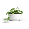 Urania Bowl 30/15 biały ceramiczna osłonka na bonsai