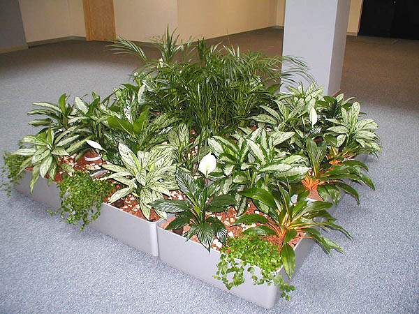 Sauerland 40x40/25 kwadratowa niska donica srebrna matowa