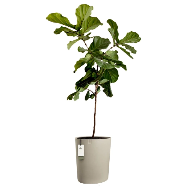 Eden Aquacare High 40 wysoka donica asymetryczna soft taupe system samonawadniający