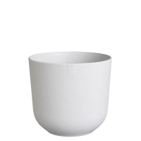 biały / silky white