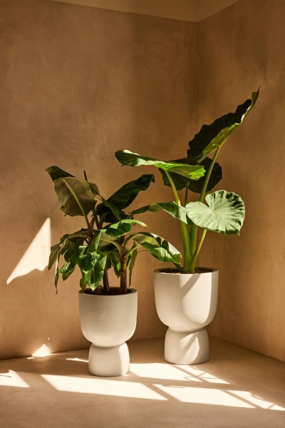 Amber Coupe Round 35/49 biała stylowa donica do salonu