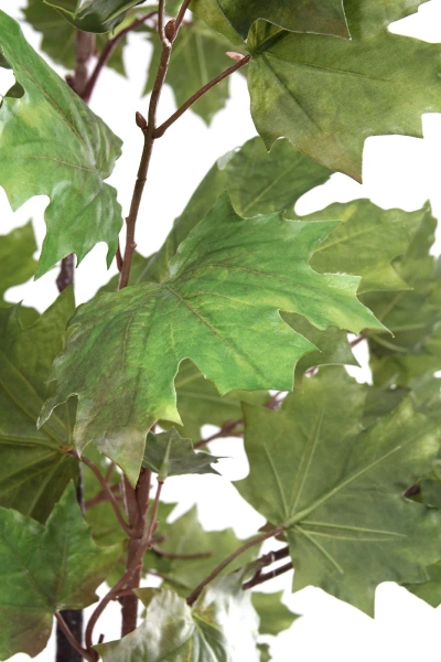 Sztuczny wysoki Klon zielony 175 cm