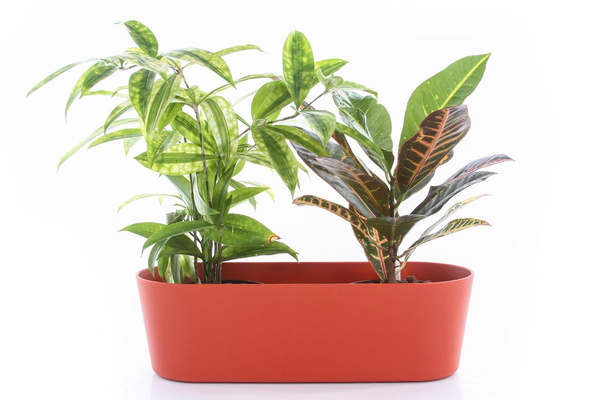 Zestaw do hydroponiki 9/7 osłonka podłużna Flori 27x10/8 pomarańczowa