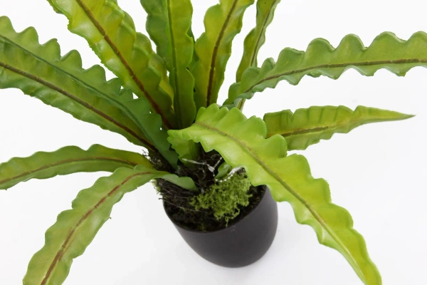 Sztuczne asplenium paproć 46 cm w doniczce