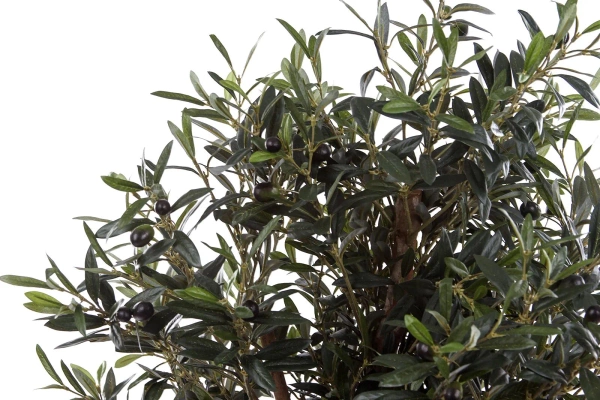 Sztuczna Oliwka 150 cm drewniany rozgałęziony pień