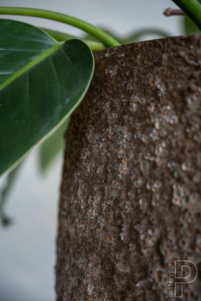 Gillard S 45/45 kulista osłonka brązowa naturalna ostryga oyster