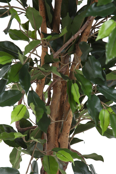 Sztuczny Fikus 150 cm zielony