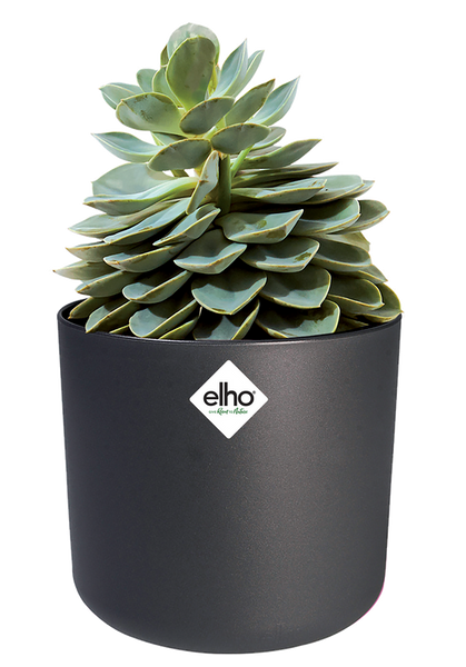 B. For Soft Round 14 cylindryczna doniczka grafitowa