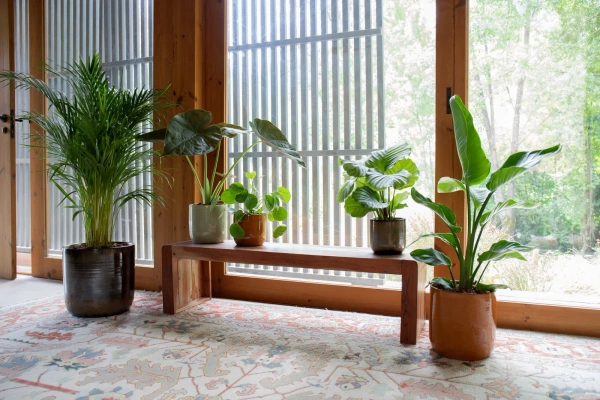 Jupiter 19/19 ceramiczna osłonka ciemnozielona rusty green