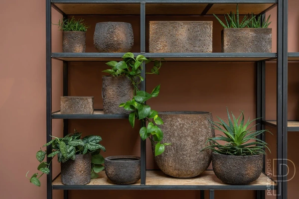 Mini Jort XS 30x15/16 naturalna brązowa osłonka na parapet ostryga oyster