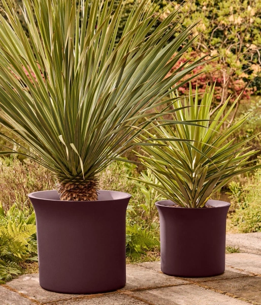 June Tulip 40 śliwkowa osłonka do salony vintage plum