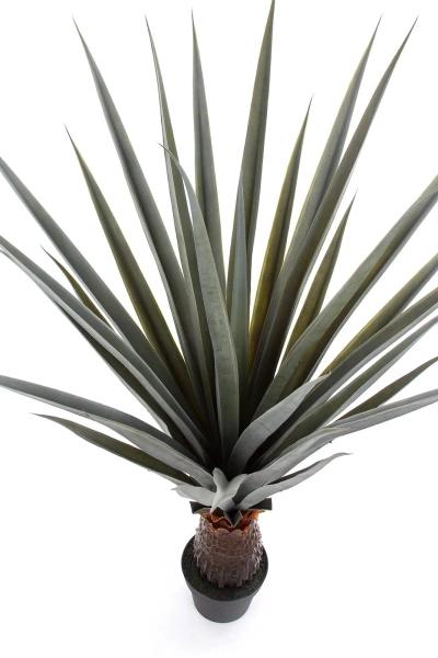 Sztuczna Agawa angustifolia 140 cm UV
