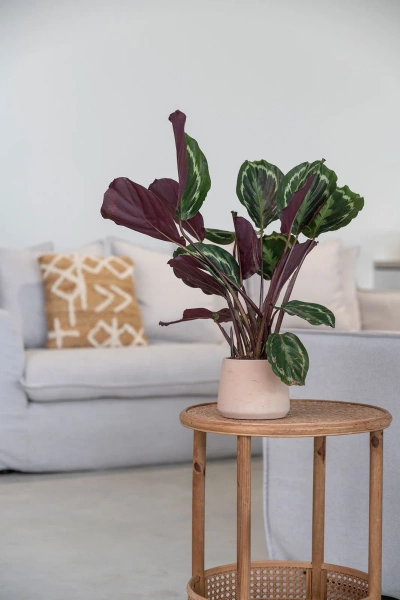 Patt XXL 34/28,5 okrągła donica z kamienia clay washed glina