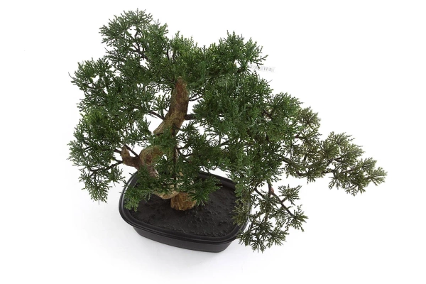 Sztuczny Bonsai Cedr 40x40 cm w doniczce