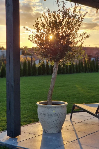 Poseidon S 42/38 donica w śródziemnomorskim stylu kremowa