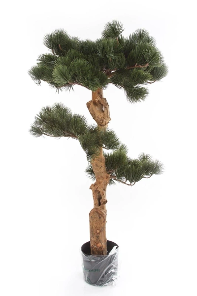 Sztuczny Bonsai Sosna Pinia 110 cm deluxe