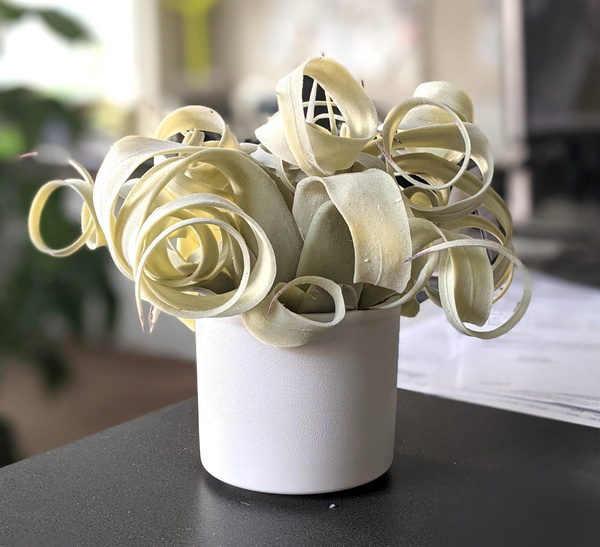 ERA 15/13 osłonka ceramiczna cylinder jasnoszara