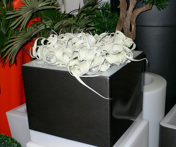 Sztuczna Oplątwa Tillandsia Large 28 liści