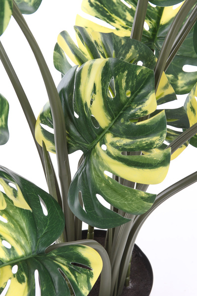 Sztuczna Monstera dziurawa Variegara żółto-zielona 90 cm