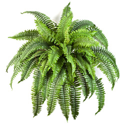 Sztuczna paproć Boston 90 cm rozłożysta