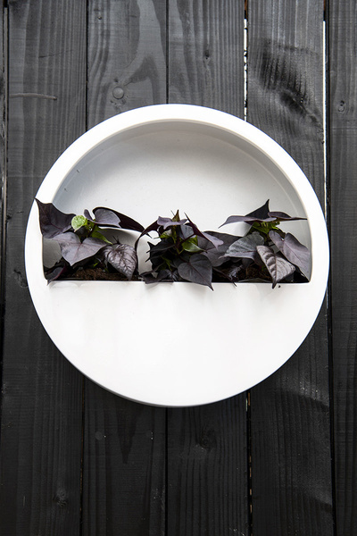 Wally XS 30/9 doniczka na ścianę biała matowa wisząca kamienna