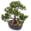 Sztuczne drzewko Bonsai Podocarpus 32 cm w brązowej doniczce