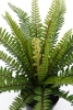 Sztuczna Paproć Boston 65 cm w doniczce