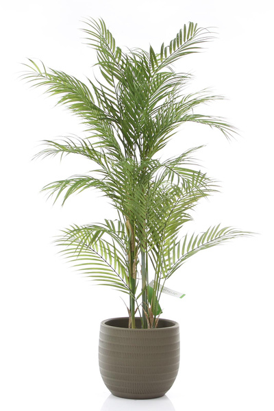 Sztuczna palma Chamedora 120 cm