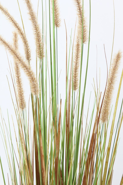 Sztuczna trawa wysoka Dogtail 120 cm z kłosami