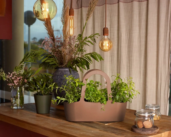 Paris 43 koszyk na rośliny musztardowy