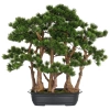 Sztuczny Bonsai Pinia Sosna w formie lasu 60 cm