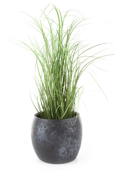 Lester 16/14 kulista osłonka ceramiczna czarny kamień