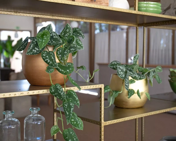 Hera 22/20 kulista osłonka złota ceramiczna