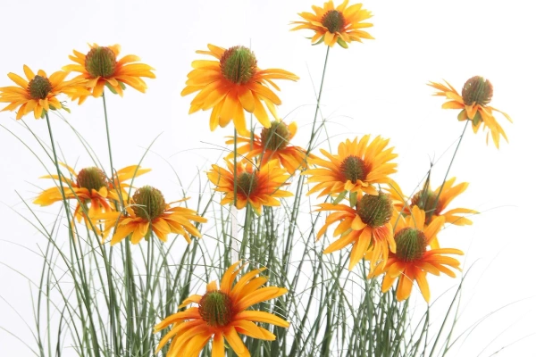 Sztuczna rudbekia 90 cm pomarańczowe kwiaty