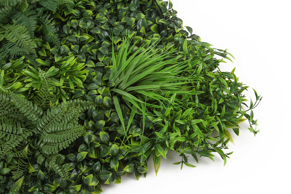 Mata zielona ściana Forest 100x100 cm mix z roślin leśnych