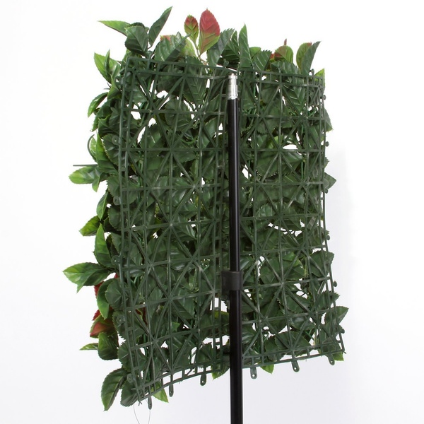 Sztuczna zielona ściana mata Głownik Photinia 50x50 UV wodoodporna