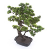 Sztuczne drzewko Bonsai Sosna Pinia 65 cm