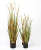 Sztuczna trawa Dogtail 92 cm z kłosami