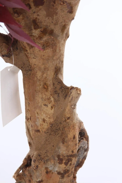 Sztuczny Klon Bonsai 95 cm burgundy