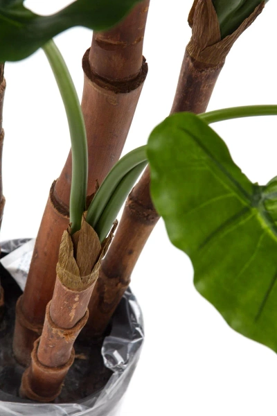 Sztuczna Alokazja Calidora 125 cm deluxe