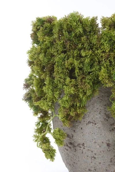 Sztuczny mech islandzki pnącze 36 cm OGNIOODPORNY flame retardant