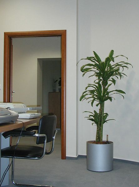 Elegance 37/37 donica cylindryczna srebrna matowa