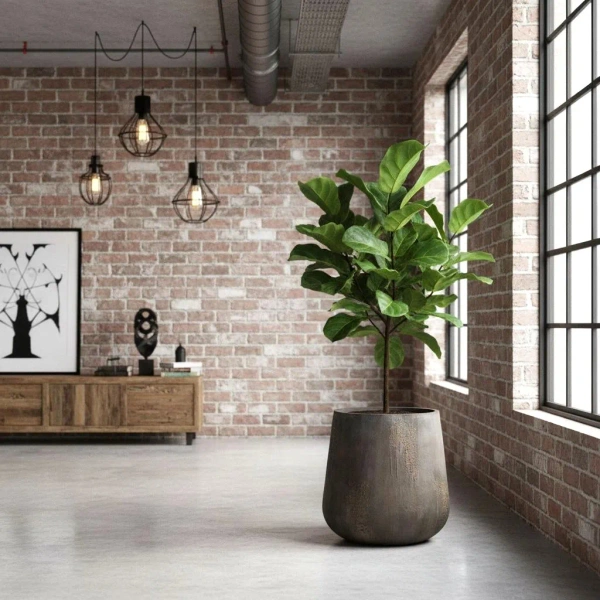 PAX M 46/46 kamienna donica do salonu ostryga Imperial Brown